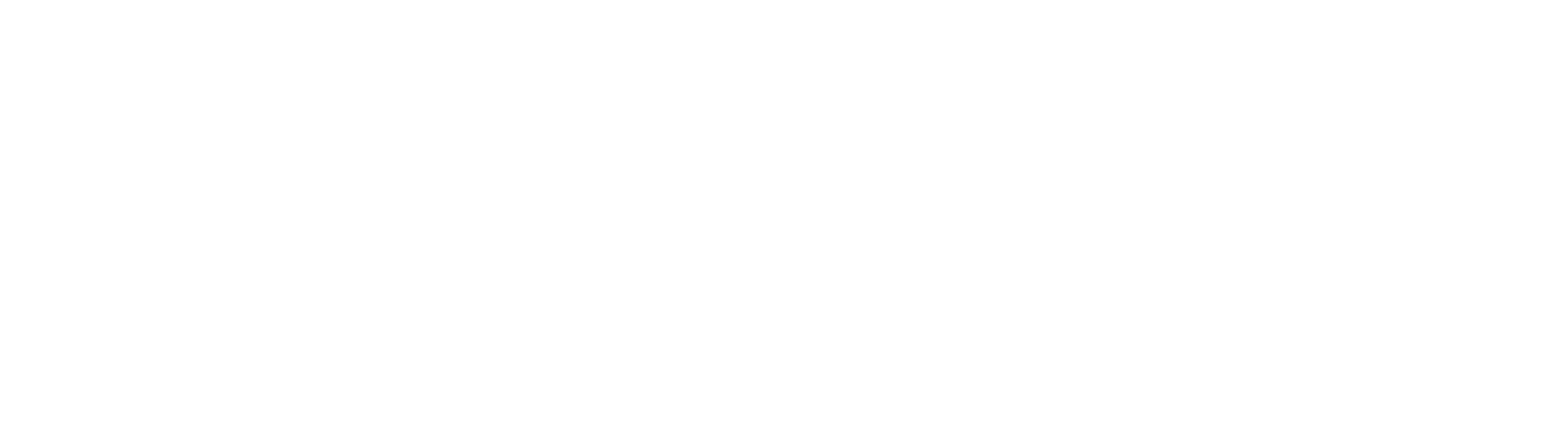 Multi Airlines