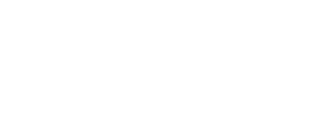 Logo du SNPL, Syndicat national des pilotes de ligne